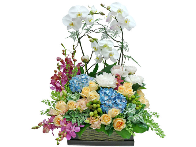 Florist Flower Arrangement - White Orchid flower box Decor T12 - L36669121 Photo