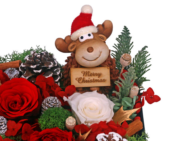 Preserved Forever Flower - Christmas Preserved Flower Gift Box M61 - PR1108A3 Photo