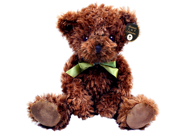 泰迪熊毛公仔 - Barnes & Coleman 經典朱古力棕色 Teddy Bear - L098585 Photo